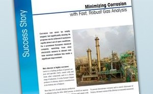 Amperometric Gas Sensors 