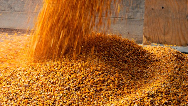 Contamination of incoming goods in unpackaged bulk, loose, granular or powered products